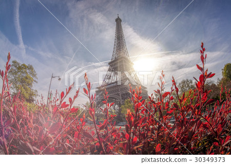 Eiffel Tower during spring time in Paris, France Eiffel Tower during spring time in Paris, France 30349373