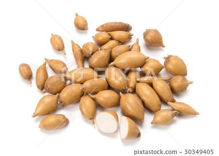 Apios Apios 30349405