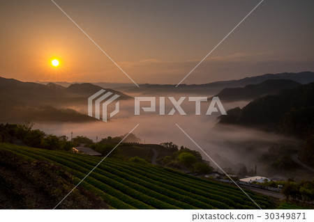 Nanshan Temple Sunrise 30349871