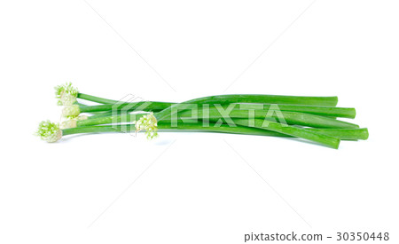 leeks close up on white leeks close up on white 30350448