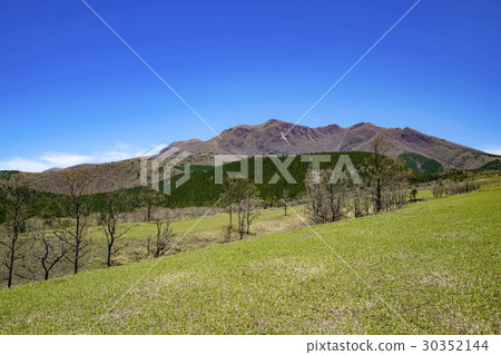 Kuzu Takahara Suzuumi 30352144