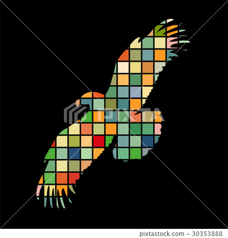 Eagle bird color silhouette animal Eagle bird color silhouette animal 30353888