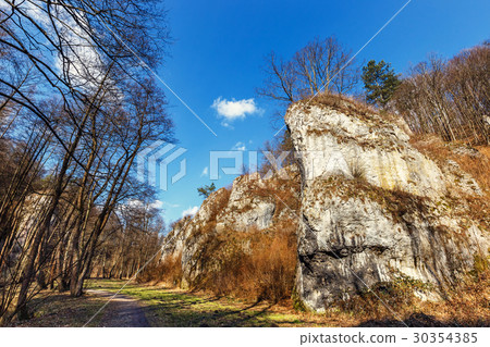 Limestone Mnikowska Valley near Krakow Limestone Mnikowska Valley near Krakow 30354385