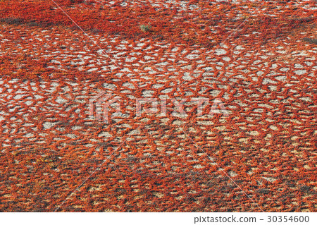 Salinas de Janubio, salt mine, lanzarote, Spain 30354600