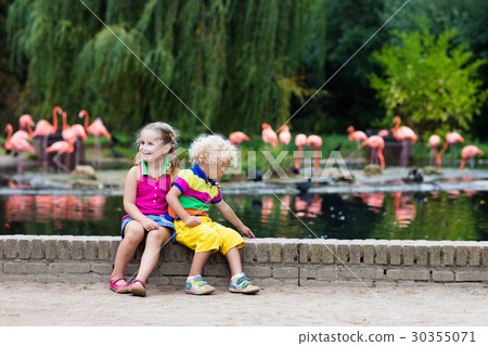 Children watching animals at the zoo 30355071