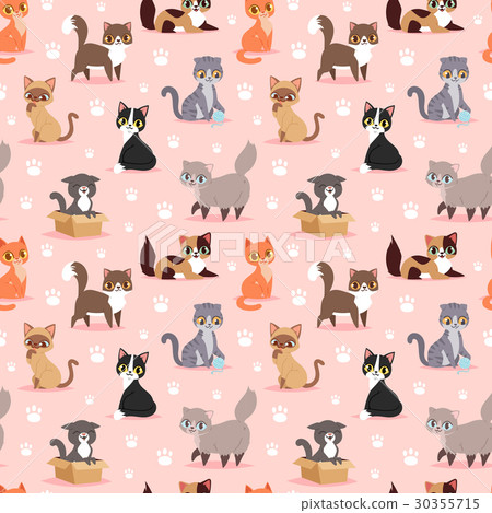 Cat breed cute kitten pet portrait fluffy young Cat breed cute kitten pet portrait fluffy young 30355715