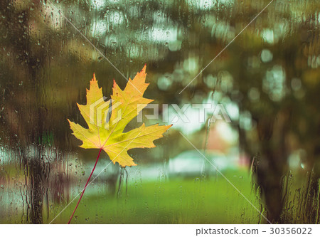 The view from the window on a rainy day  30356022