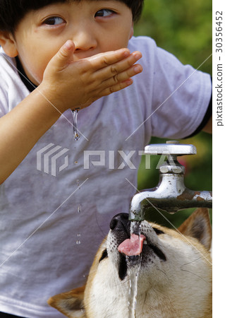A boy who drinks water and a Shiba Inu A boy who drinks water and a Shiba Inu 30356452