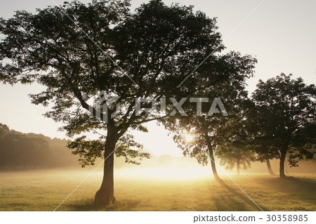 Summer plateau, morning mist 4 Summer plateau, morning mist 4 30358985