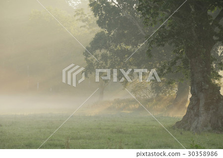 Summer Plateau Asagom 5 Summer Plateau Asagom 5 30358986