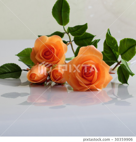 clay orange roses flower on white background clay orange roses flower on white background 30359906