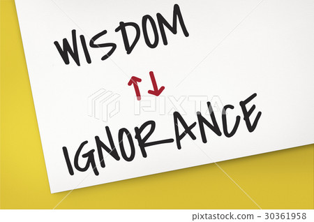 Proficiency Antonyms Wisdom Ignorance Illustration 30361958