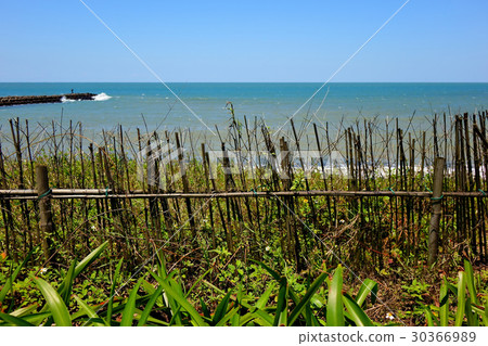 Seascape of bamboo fence with sky 30366989