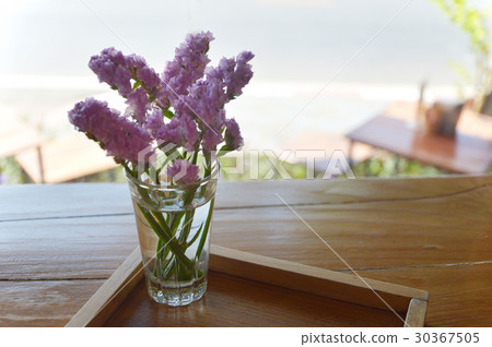 Statice flowers violet color 30367505