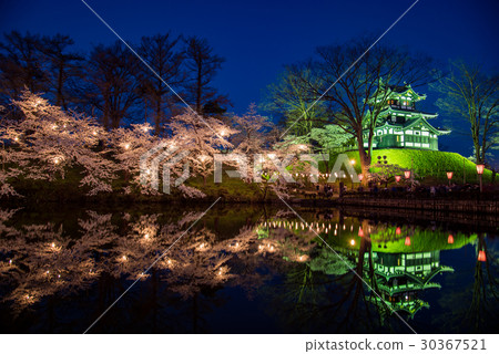 Cherry blossoms in full bloom of Niigata Takada castle Night cherry blossoms light up 30367521
