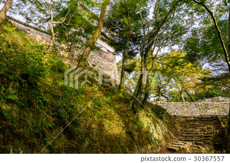Bikan Matsuyama Castle (Takahashi-shi, Okayama-shi, Uchiyama 1) 30367557
