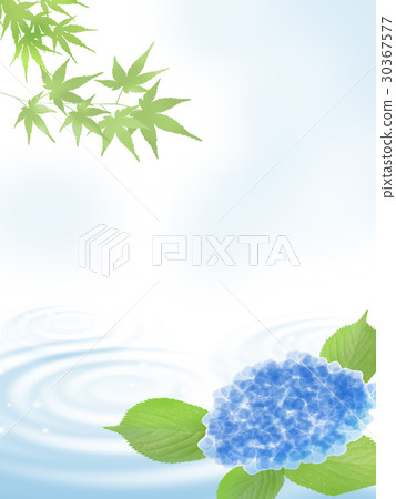 Hot summer visitation Late summer Hydrangea ripple Hot summer visitation Late summer Hydrangea ripple 30367577