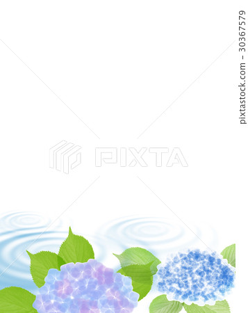Summer greeting card Hydrangea Hydrangea Summer greeting card Hydrangea Water surface Ripples Summer greeting card Hydrangea Hydrangea Summer greeting card Hydrangea Water surface Ripples 30367579