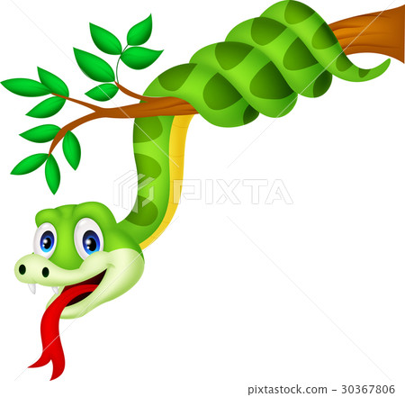 Cartoon green snake on branch Cartoon green snake on branch 30367806