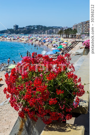 Beach on the Costa Brava Beach on the Costa Brava 30368212