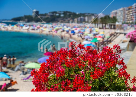 Beach on the Costa Brava 30368213