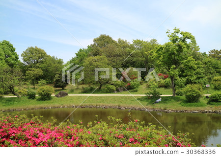 日本庭園 30368336