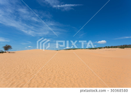 red sand dune desert in Mui Ne, Vietnam 30368580