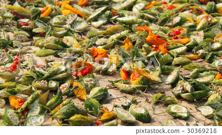 Dried bitter cucumber. Texture and background. 30369218