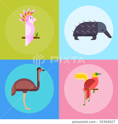 Australia wild animals cartoon popular nature 30369827