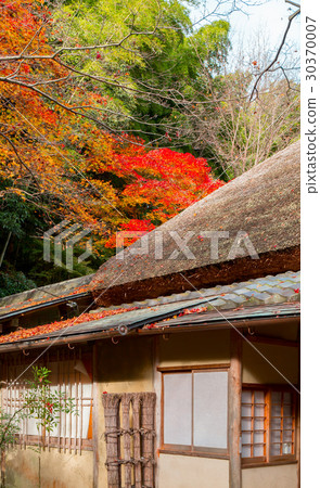 秋葉的祗園 秋葉的祗園 30370007