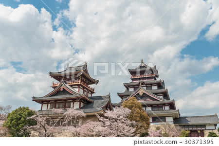 伏見 - 曼山城堡的風景 30371395
