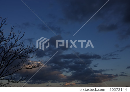 Tree in the background of thunderclouds 30372144