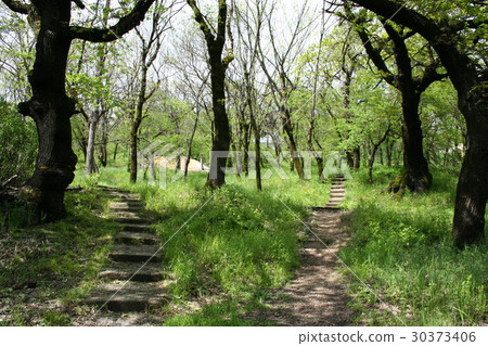 Two paths lead to different directions 30373406