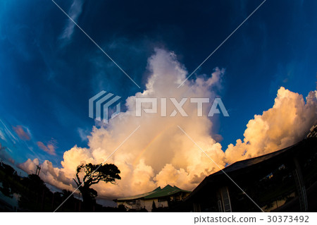 在晚上之前 30373492