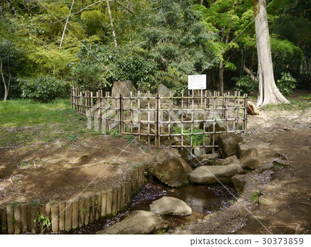 在東京57 Nogawa公園命名春天的春天 在東京57 Nogawa公園命名春天的春天 30373859