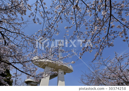 Birthday Tower 30374258