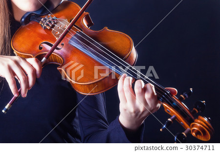 Violin 30374711