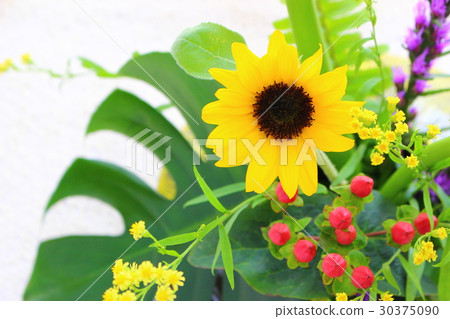 向日葵插花 向日葵插花 30375090