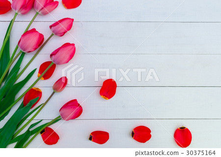 Red tulips on white wooden background. Red tulips on white wooden background. 30375164