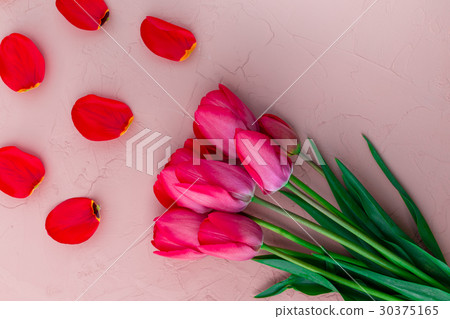 Pink tulips on white beige stone background. Pink tulips on white beige stone background. 30375165
