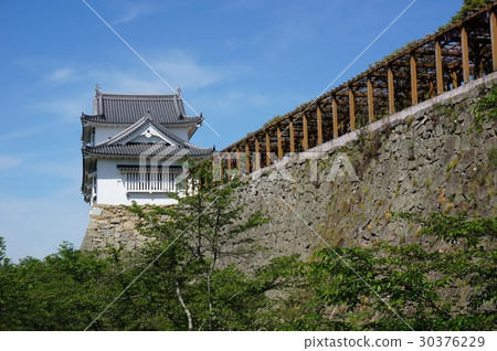 "Okayama prefecture cherry blossom viewing site" Tsuruyama park (Tsuyama castle toe) ": Bikanaru "Okayama prefecture cherry blossom viewing site" Tsuruyama park (Tsuyama castle toe) ": Bikanaru 30376229