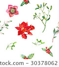 Seamless Pattern with Christmas Plants 30378062
