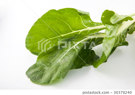 Spinach (Spinacia oleracea) isolated Spinach (Spinacia oleracea) isolated 30378240