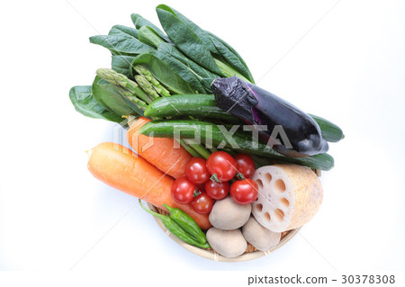 蔬菜集合 蔬菜集合 30378308