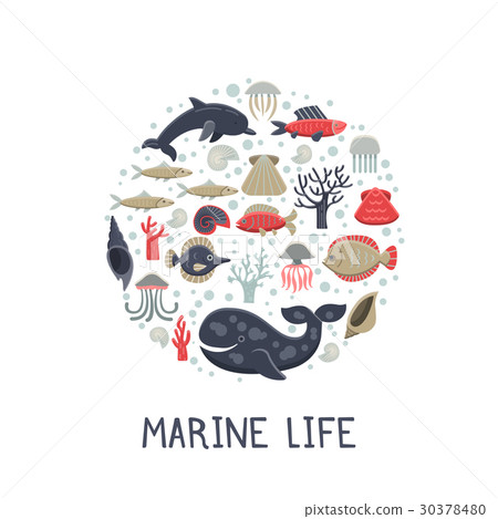 Marine Life Card. 30378480