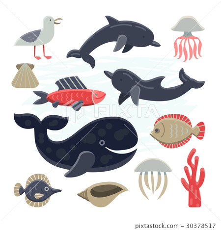 Marine life pictures collection Marine life pictures collection 30378517