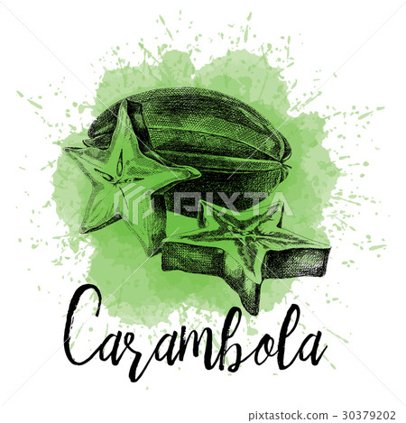 Vector illustration starfruit fruit in hand drawn Vector illustration starfruit fruit in hand drawn 30379202