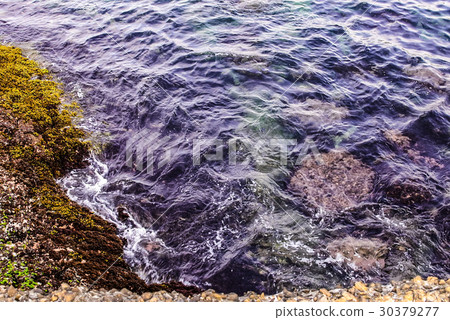 海水 顏色 海 礁石 石頭 深色 30379277