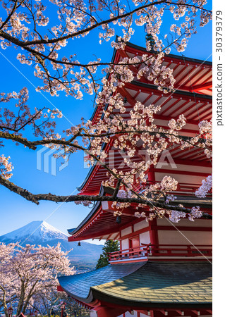 象徵日本的風景[山梨縣荒山山仙根公園] 30379379
