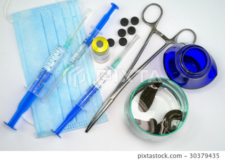 Medical leech on white background Medical leech on white background 30379435